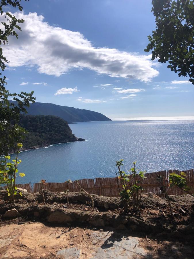 Kabak Uetopya Kamp Faralya Exteriör bild